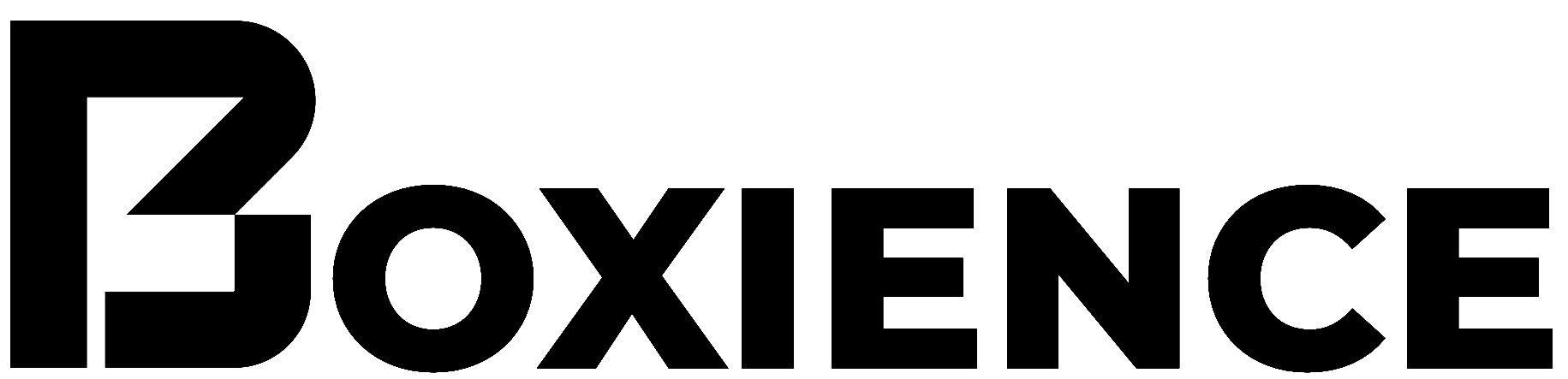 Boxience Logo